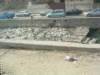 egypt009_small.jpg