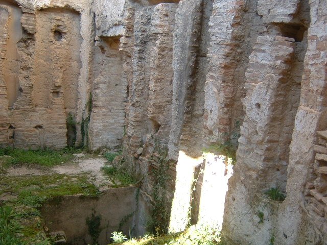 med_cruise080.jpg