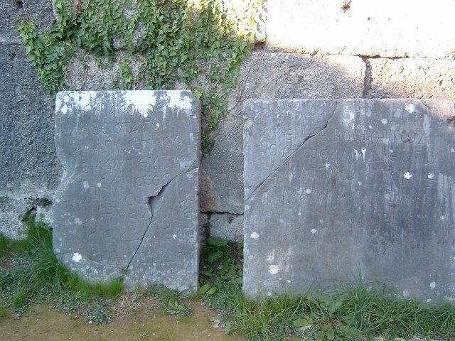 med_cruise083.jpg