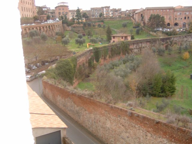 med_cruise001.jpg