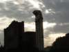 med_cruise031_small.jpg